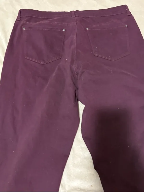 Gloria Vanderbilt Plum Straight-Leg Corduroy Pants - Image 4