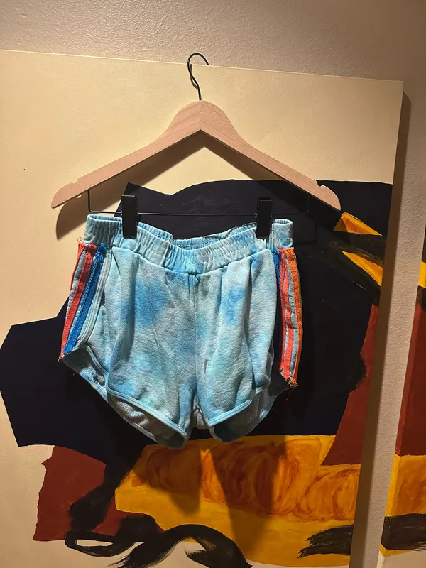 Aviator Nation Sweatshorts - Image 4