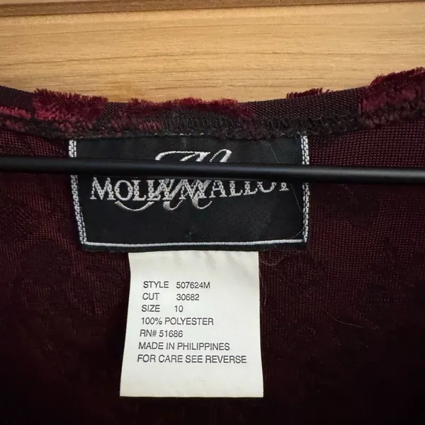 Vintage Molly Malloy Medium Floral Burnout Velvet Long Sleeve Whimsigoth Dress - Image 12