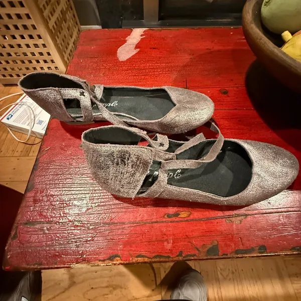 Free People Metallic Silver Lace-Up Ballet Flats - Image 2