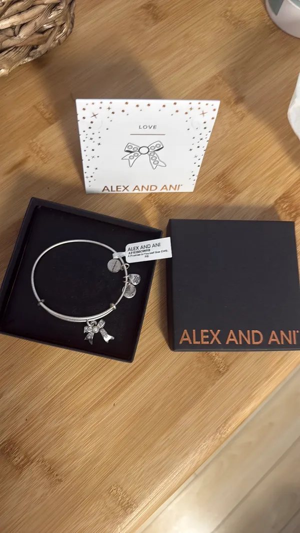 Alex and Ani Bracelet Charm Silver Bangle - Image 3