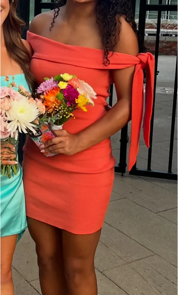 Revolve Homecoming Dress - Image 4