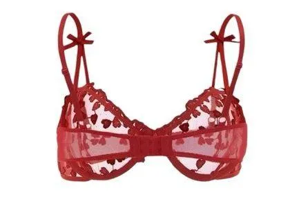 Embroidered Mesh Underwire Lingerie Set (M) - Image 2