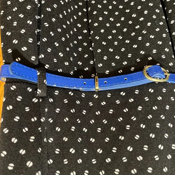 Elle Polka Dot Sleeveless Mini Swing Dress w/ Cobalt Blue Belt - Size 8 - Image 4