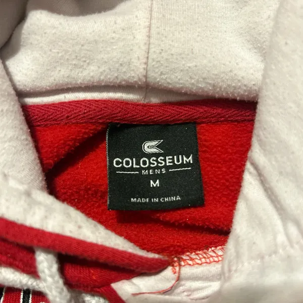 Wisconsin Badgers Hoodie - Image 4