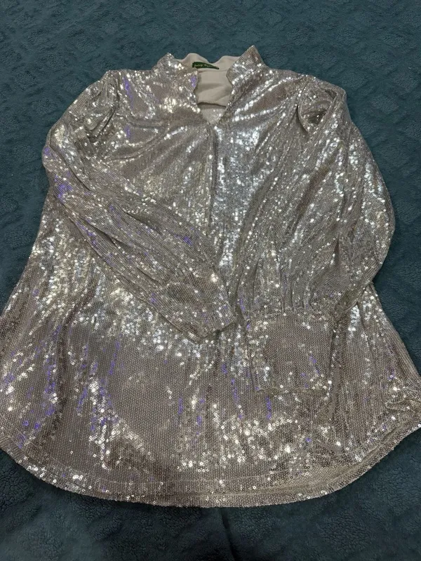 Josey Wynette Silver Sequin Long Sleeve V-Neck Blouse and Matching Jogger Set - Image 5