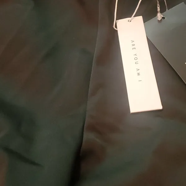 Revolve Are You Am I Shorts - Image 2