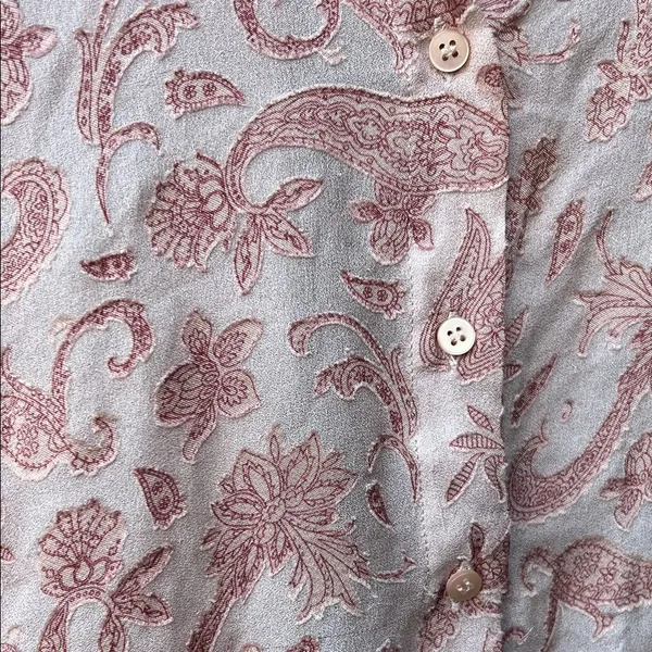 Zara Pink Sheer Paisley Embroidered Collared Button Up Blouse Boho Coast S Small - Image 5