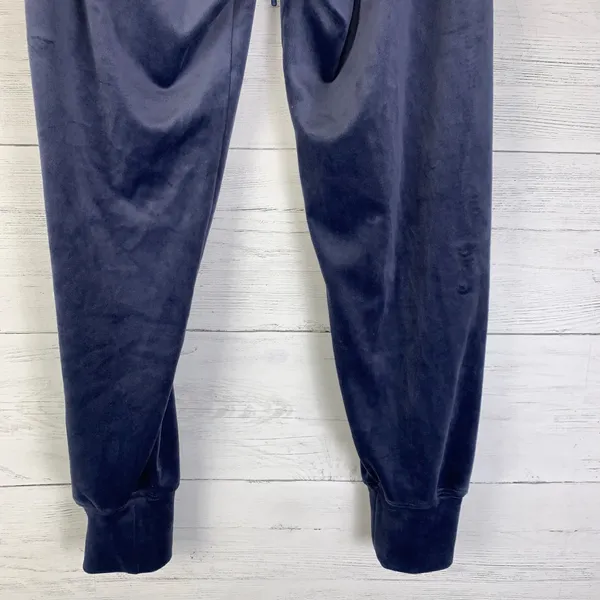 Offline By Aerie Plush Blue Velour Jogger Pants women's Size small - Image 6