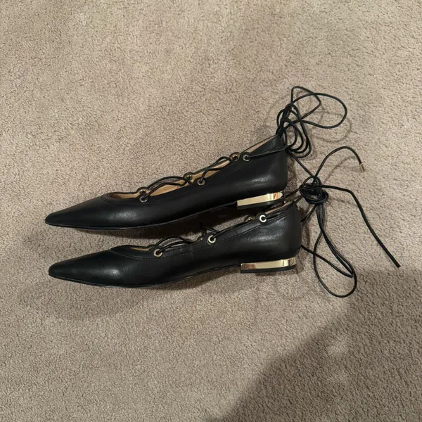 ALDO Ballet Black Alize Pointed Toe Lace-Up Flats - Image 6