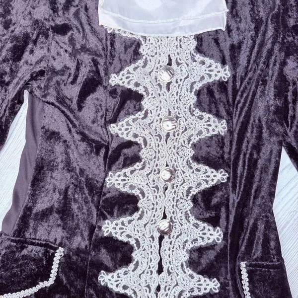 Renaissance / pirate midi dress costume elaborate English style dress velvet med - Image 3