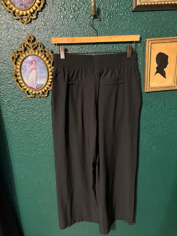 Quince Pull On Black Ankle Pants Sz Small - Image 2