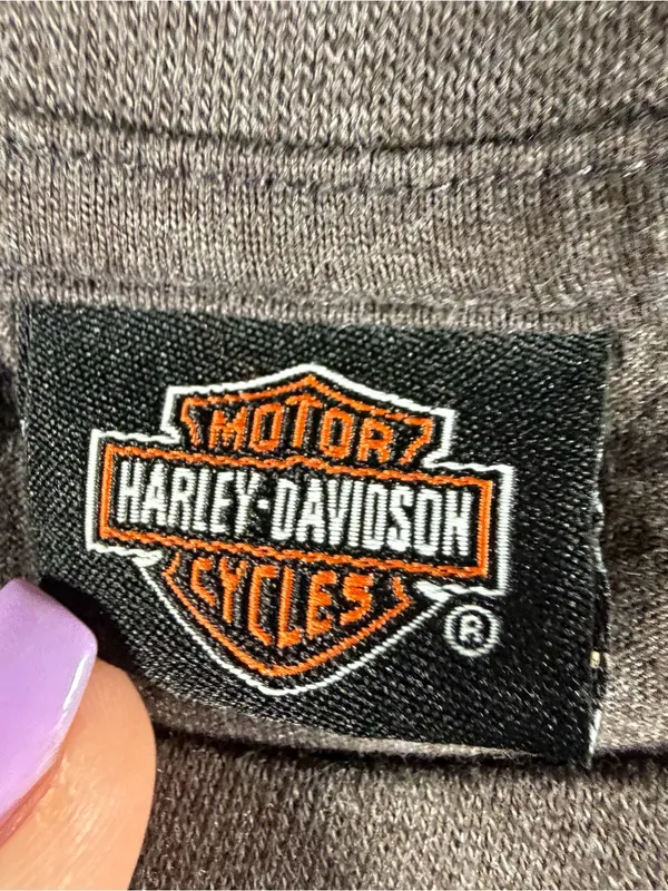 Harley Davidson Space Coast Palm Pay Fl Shiny Iridescent Graphic Tee Gray Large - Image 3