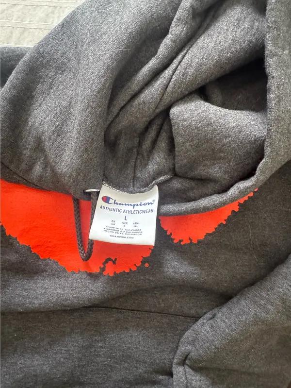 Clemson Champion Tigers Hoodie - Image 3