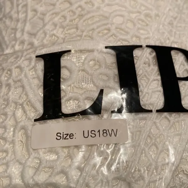 Women’s Bohemian Wedding Dress Zip Up Back with Ivory Lining Size 18W NWT - Image 8