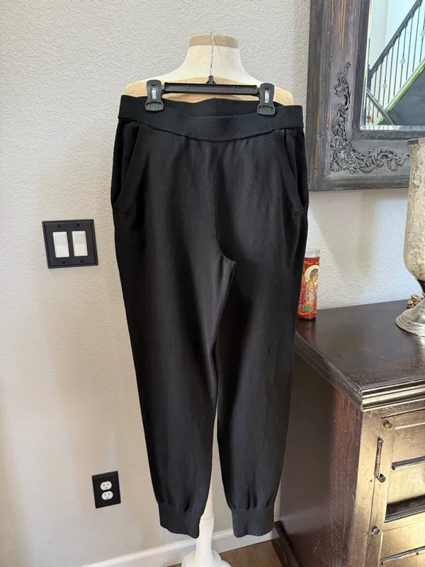 Aritzia Babaton Rodin joggers M - Image 4