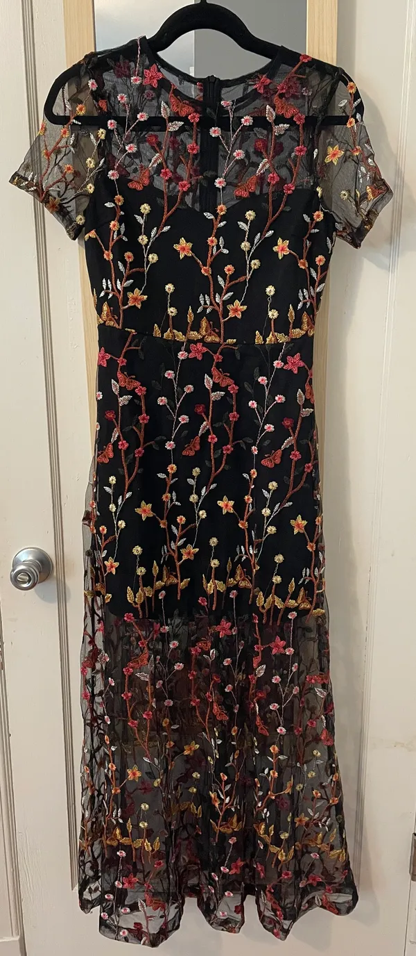 VICI Immeasurable Joy Embroidered Mesh Maxi Dress - Image 4