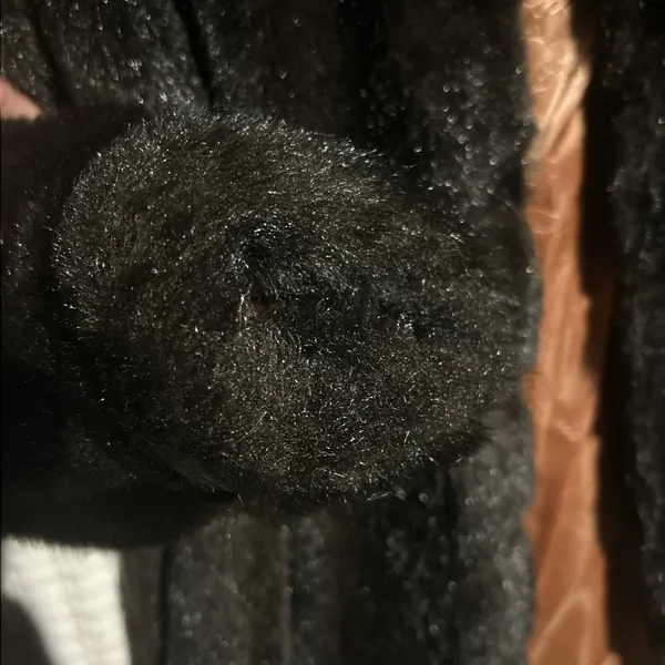 Vintage 60s Sears The Fashion Place Faux Fur Coat Black Satin Lined Mid Length‎ - Image 4