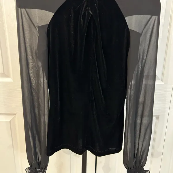 Boutique Thick Velvet Sheer long sleeve ruffle bottom sleeve top - Image 4