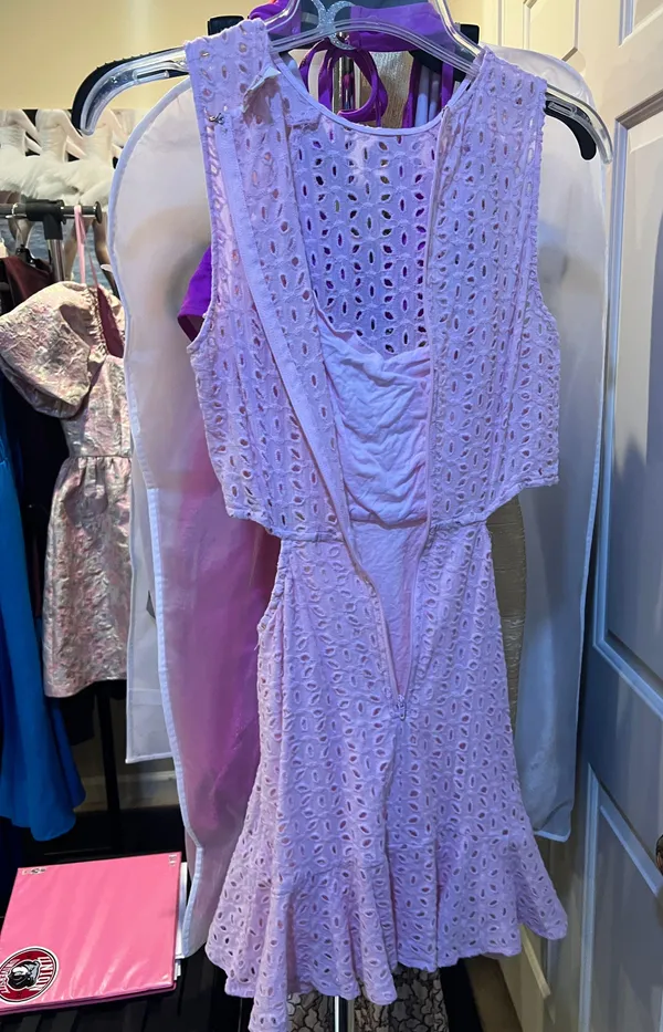 Light Pink Dress Small Cut Out Floral Pattern - Image 2