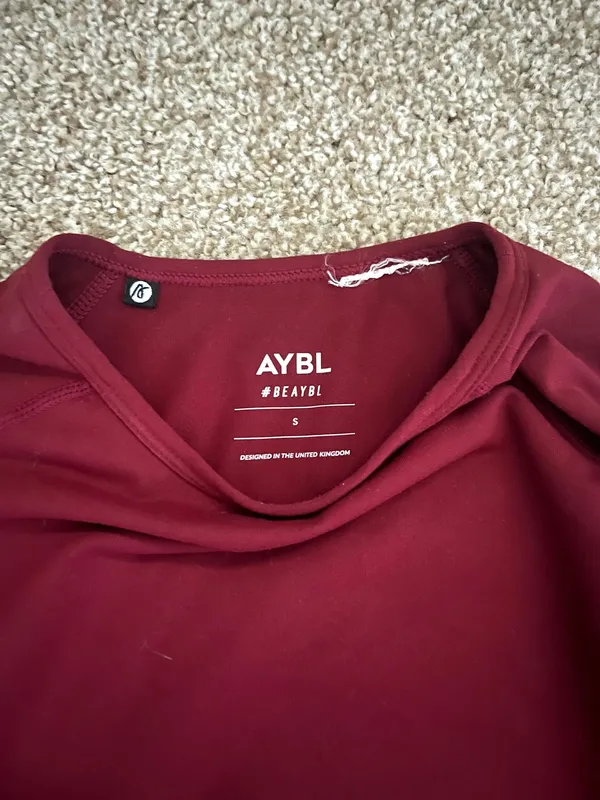 AYBL Long Sleeve Crop Top Core - Image 5