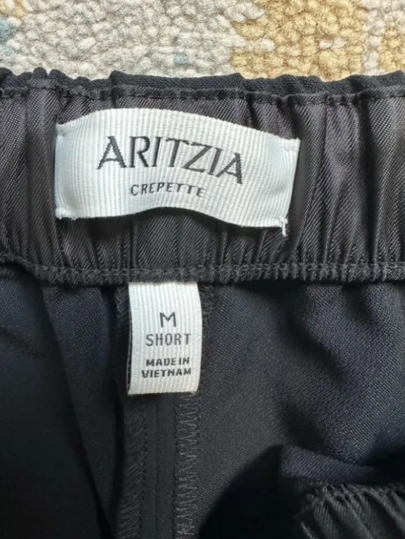 ARITZIA lodge crepette pants - Image 2