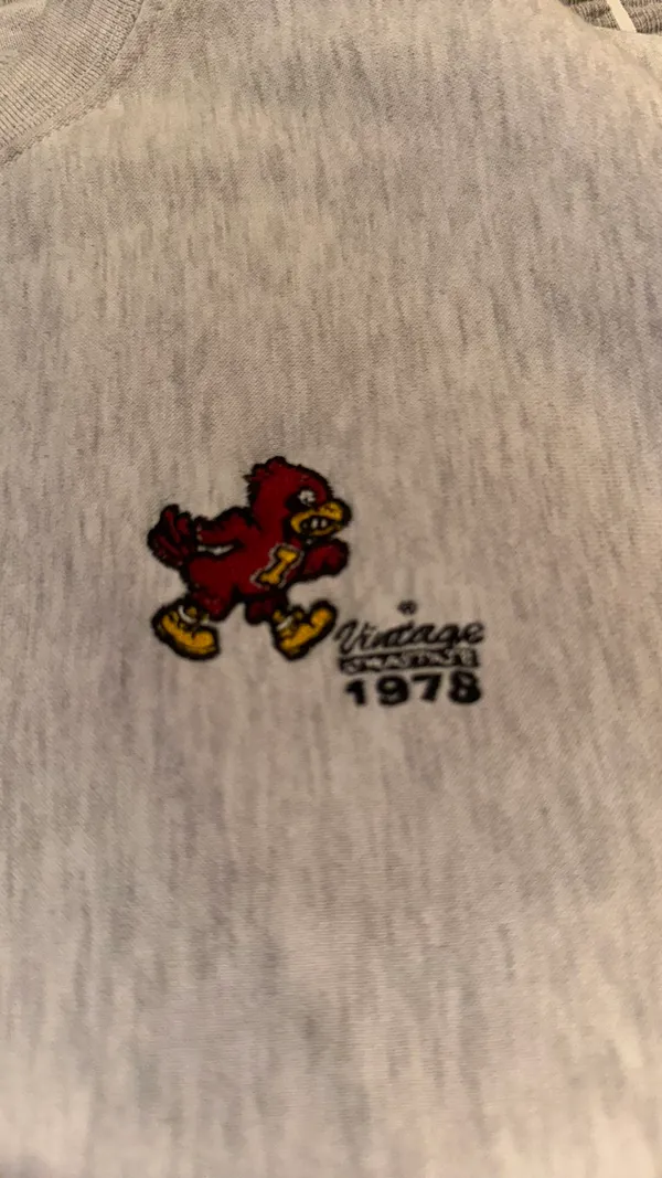 Vintage Iowa State Cyclones Sweatshirt - Image 2