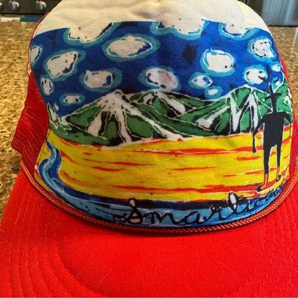 NWT: Smartwool RT Scene Trucker Hat - Image 11