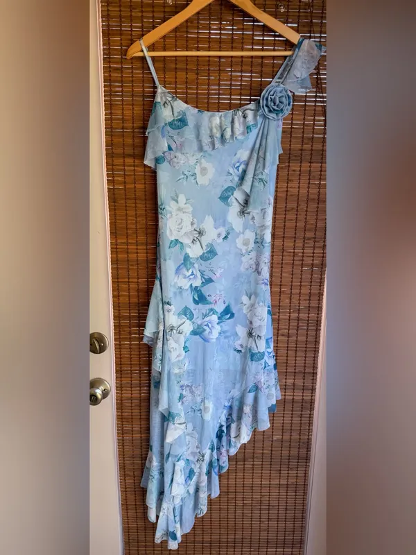 NWT Steve Madden Sorellia Floral Asymmetrical Ruffle Dress M $79 - Image 5