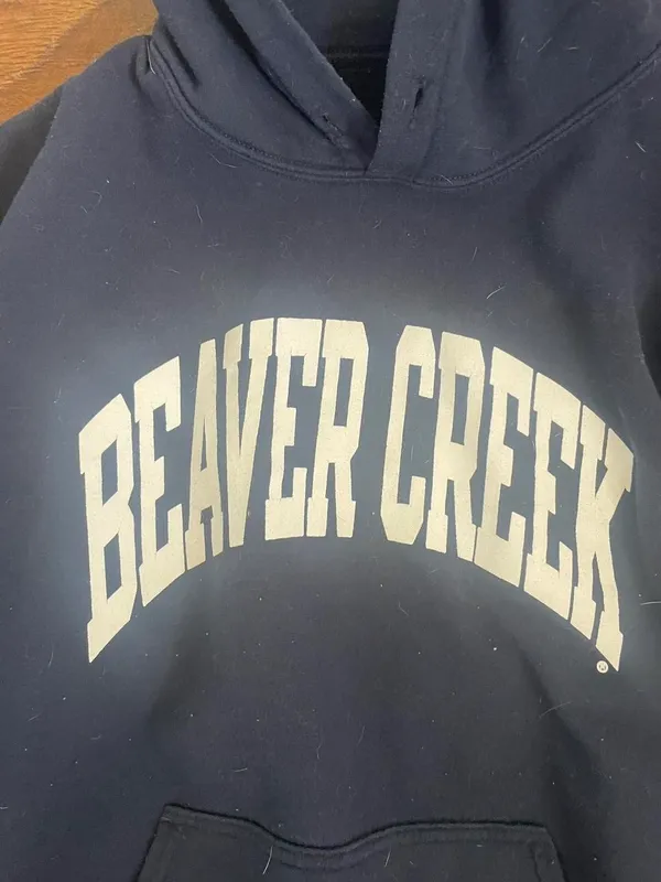 Oversized “beaver creek” hoodie Blue Size L - Image 2