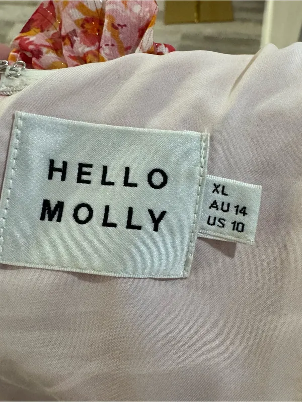 HELLO MOLLY Flowers On My Mind pink &. orange Mini‎ off the shoulder Dress XL 10 - Image 6