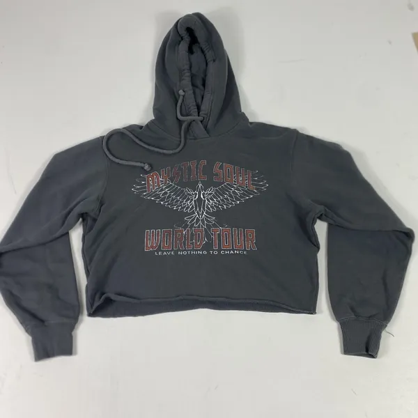 Hollister Hoodie Juniors XS Gray Mystic Soul World Tour‎ Cropped Fleece Pullover - Image 2