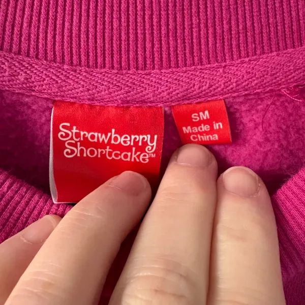 Strawberry Shortcake and Friends pink oversize crewneck fleece lined sweatshirt - Image 5