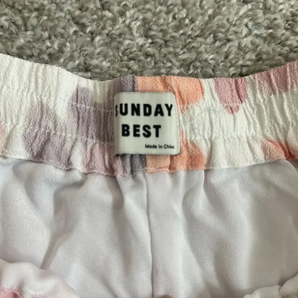 Aritzia Sunday Best Malcolm Shorts - Image 4