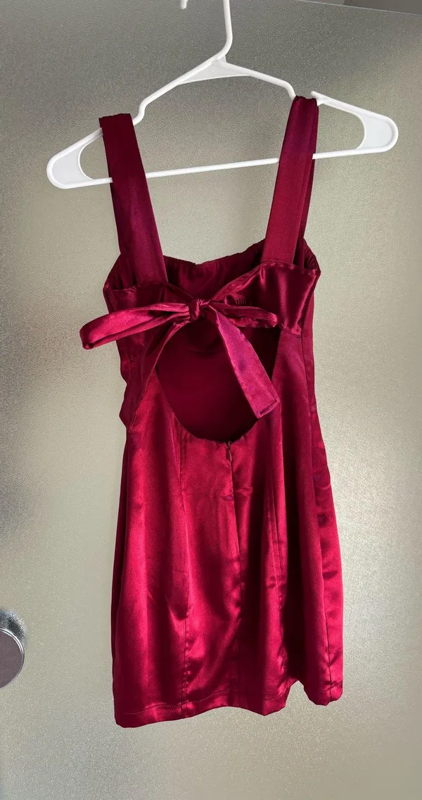 Lucy in the Sky Burgundy Dress Mini - Image 4