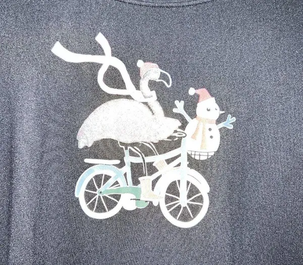 Hue Womens Christmas Holiday Pajama Top Size S Flamingo Snowman Bicycle Black - Image 2