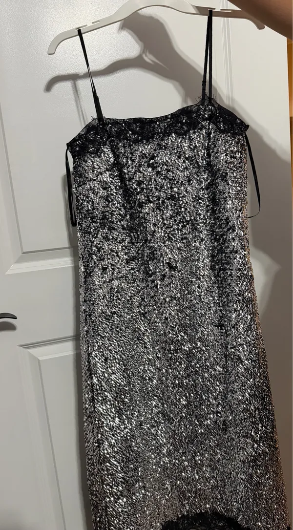 Dress Silver - Image 2