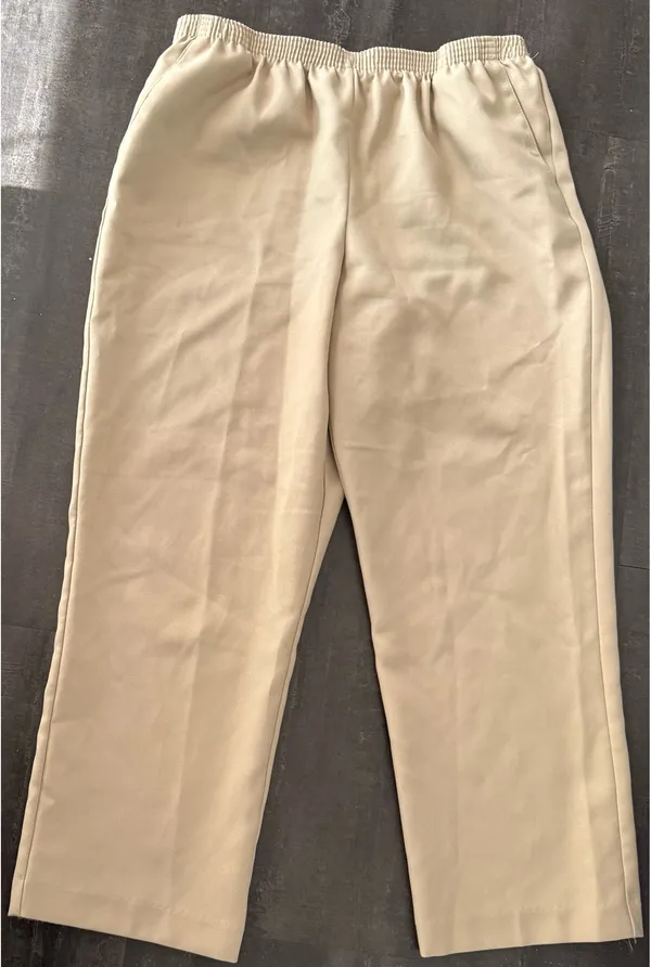 Alfred Dunner Classics Womens Straight Pull-On Pants 14 - Image 4