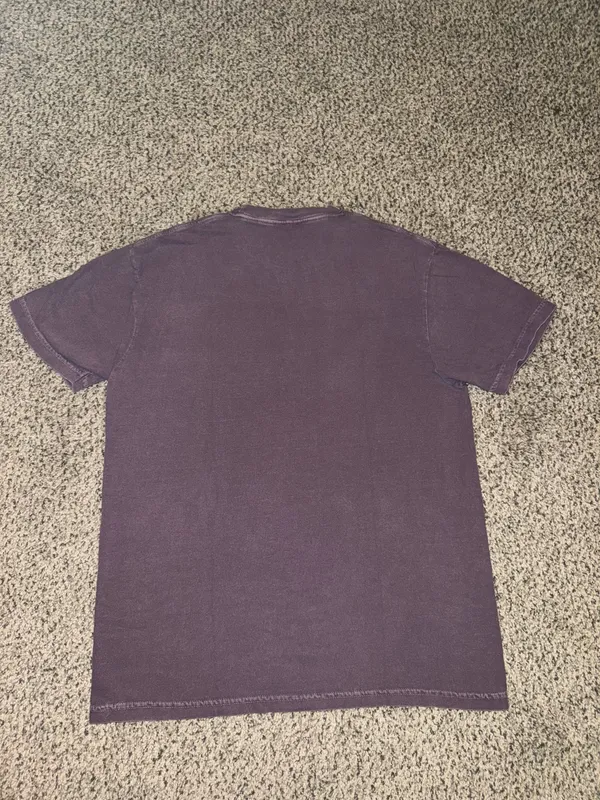 Taylor Swift Tee Comfort Colors - Image 2