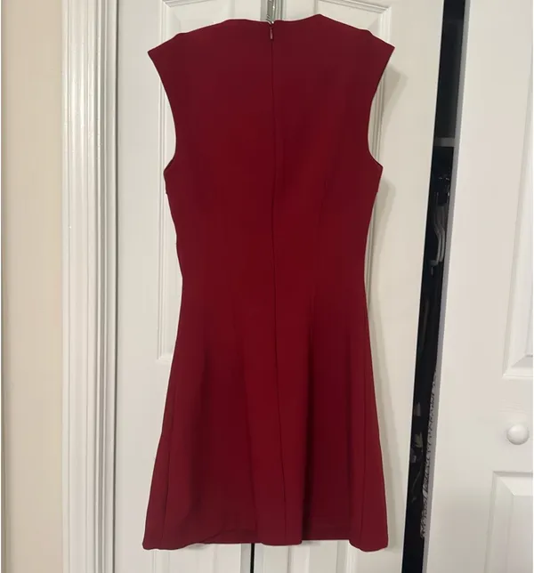 Zara Seamed Mini Dress - Image 3
