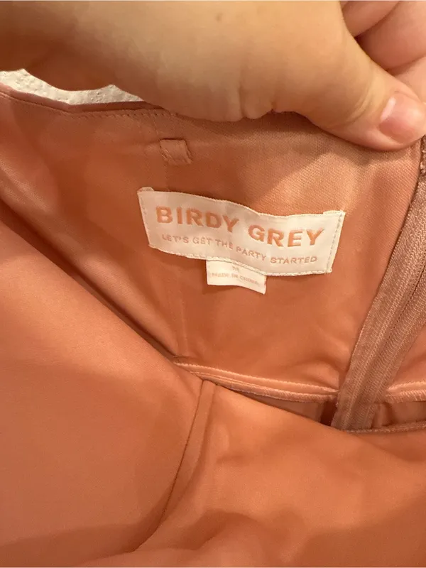 Birdy Grey Winnie Dusty Rose Bridesmaid Dress Medium NWT Strapless Ruffle Maxi - Image 4