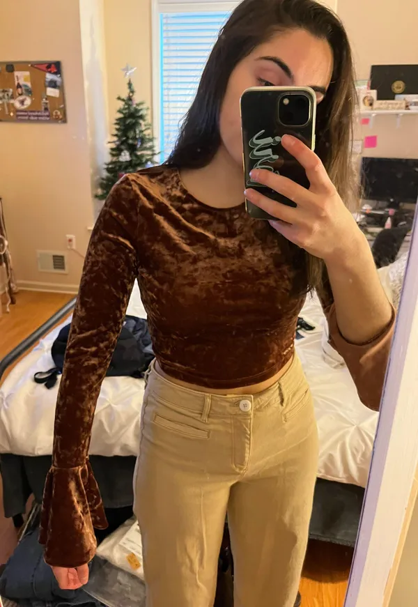 Velvet crop Top With Bell Sleeves - Image 3