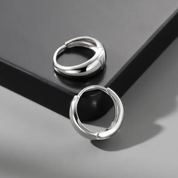 925 Silver Plated Small Hoop Earrings for Men Women, Punk Hip Hop Earrings - Image 2