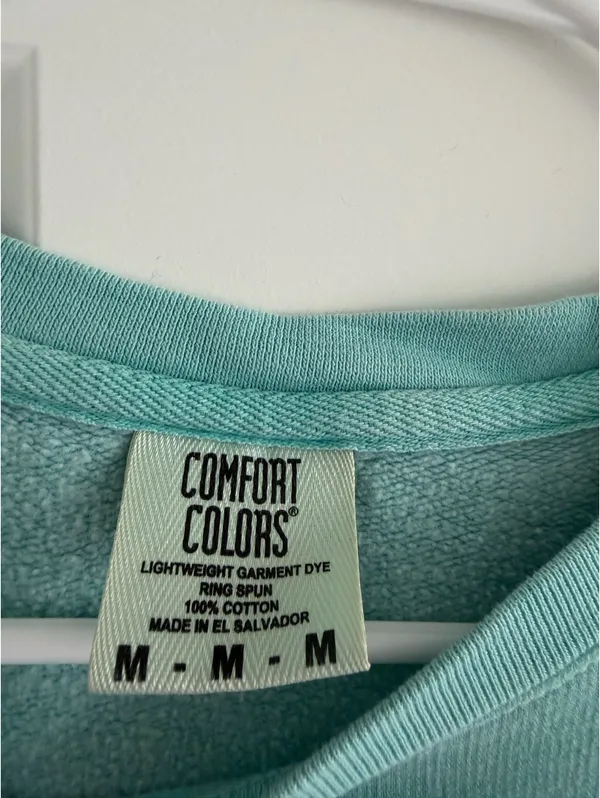 AOII Comfort Colors Letter Shirt - Image 3