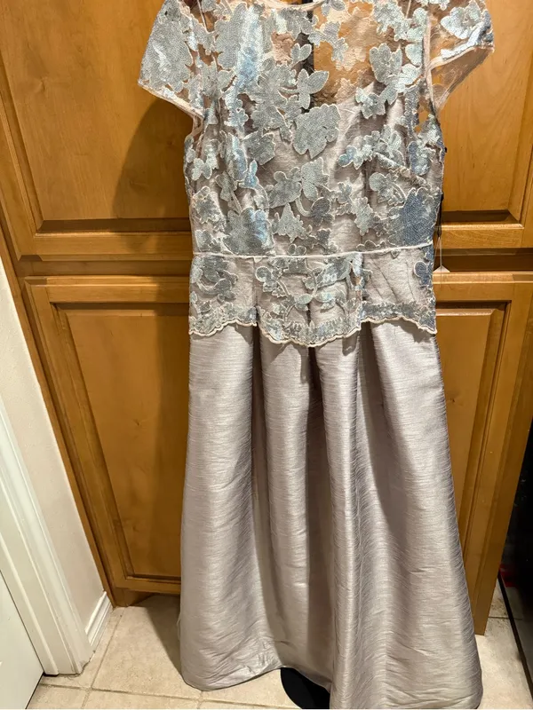 Adrianna Papell mother of the bride or groom gown dress Size 12 NWT $240 - Image 3