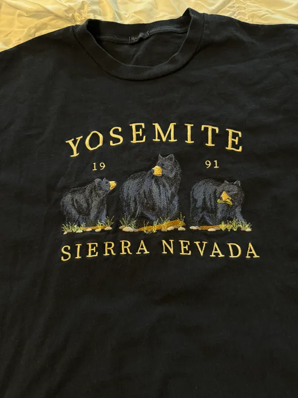 Brandy Melville Yosemite Embroidered Tee - Image 3
