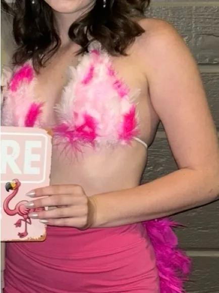 Handmade Flamingo Feather Costume Top 🦩 - Image 3