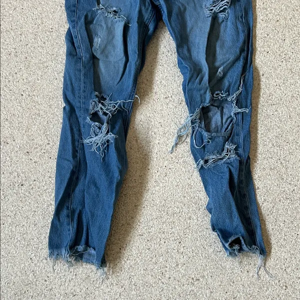 Vervet Distressed Blue Jeans - Image 7