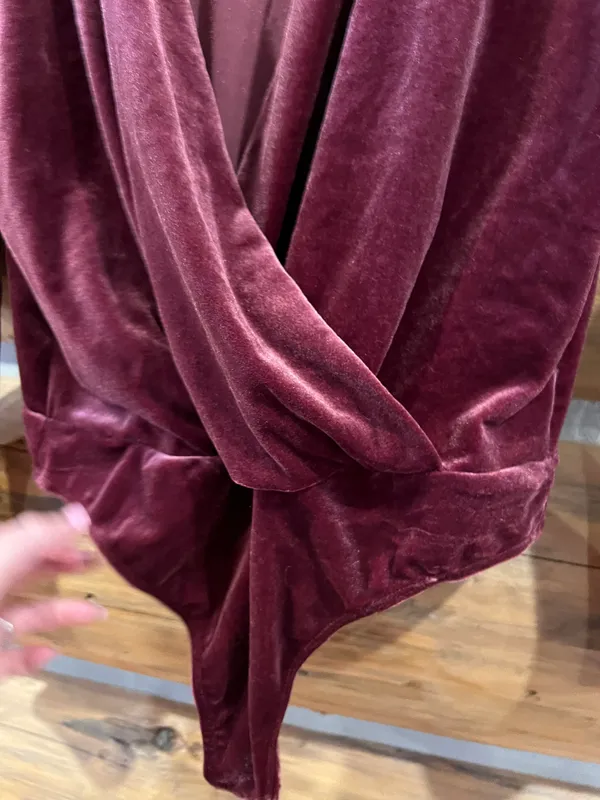 Express Velvet V Neck Bodysuit - Image 4