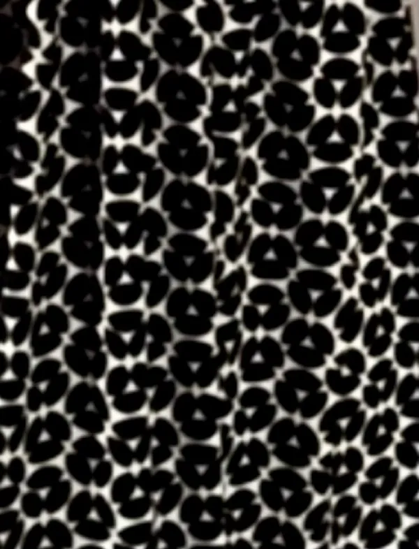 Max Studio Y2K Black & White Empire Waist CamisoleTop - Image 2